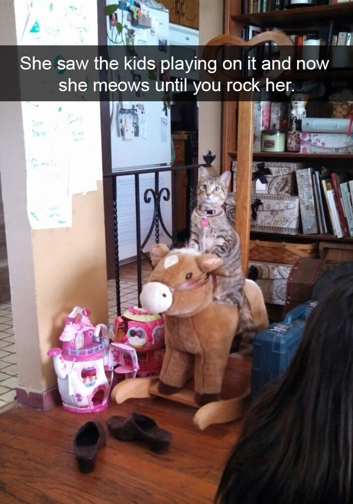 This kitty loves sitting on his rocking horse!